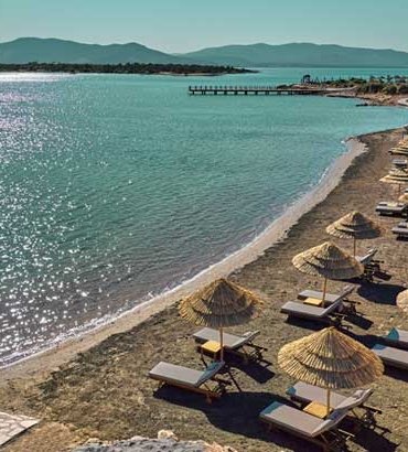 anda-barut-collection